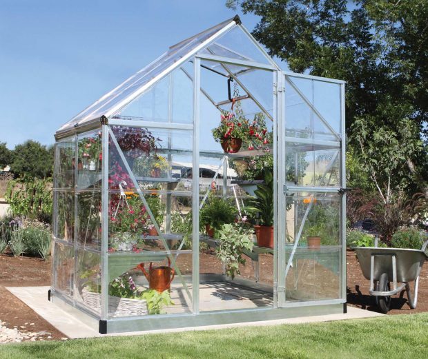 SILVER LINE MAZE 6 x 4 GREENHOUSE $ Sydney Garden Products