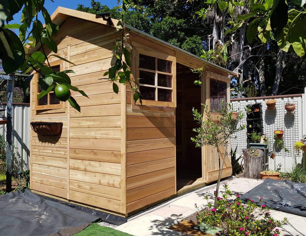 CEDAR SHED HAZEL 9x6ft 2.7x1.9M Sydney Garden Products